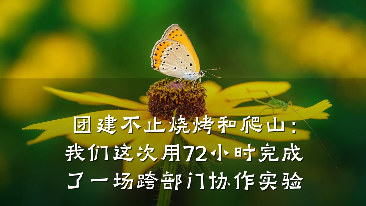 团建不止烧烤和爬山:我们这次用72小时完成了一场跨部门协作实验
