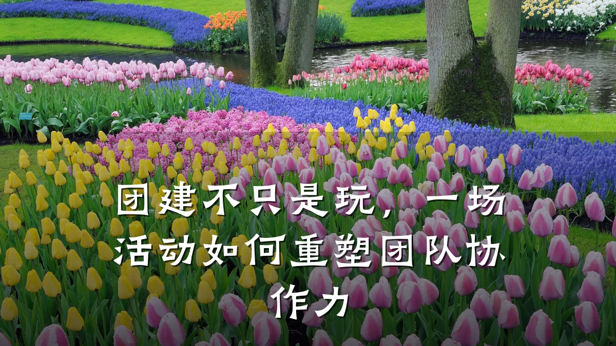 团建不只是玩,一场活动如何重塑团队协作力