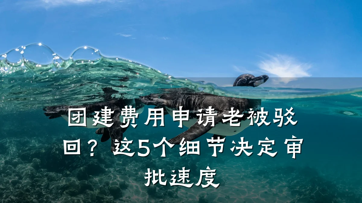团建费用申请老被驳回?这5个细节决定审批速度