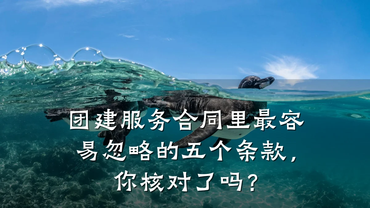 团建服务合同里最容易忽略的五个条款,你核对了吗?