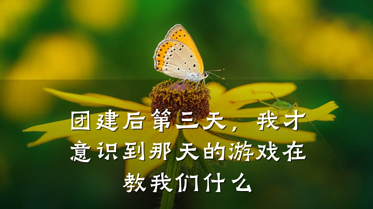 团建后第三天,我才意识到那天的游戏在教我们什么