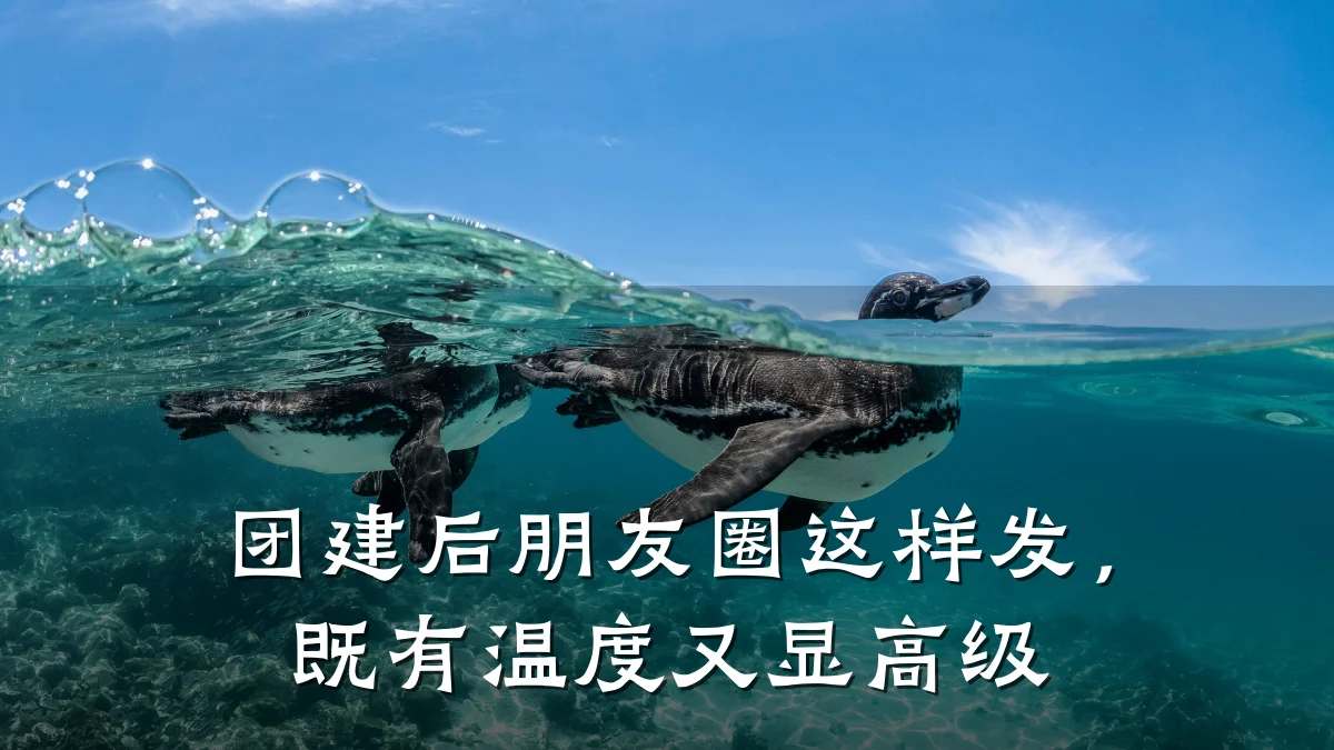 团建后朋友圈这样发，既有温度又显高级