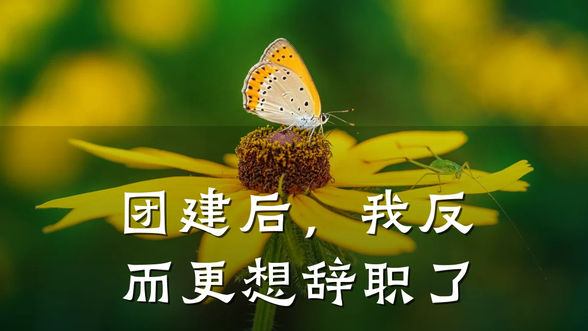 团建后，我反而更想辞职了