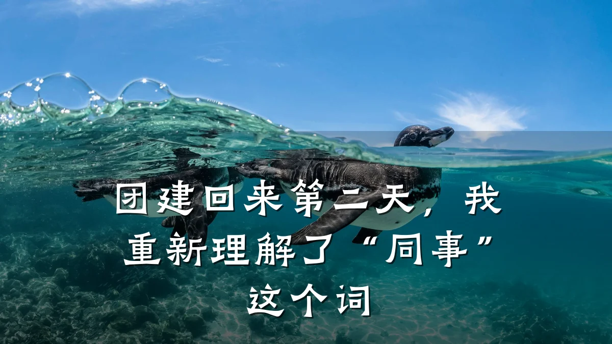 团建回来第二天,我重新理解了“同事”这个词