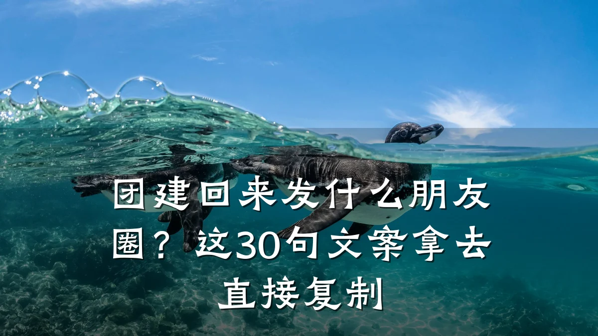 团建回来发什么朋友圈?这30句文案拿去直接复制