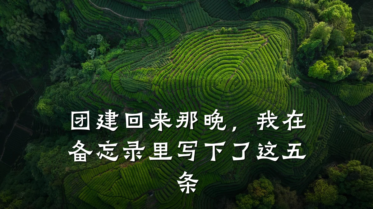 团建回来那晚,我在备忘录里写下了这五条