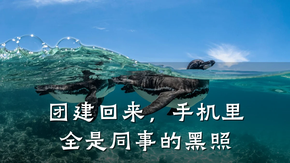 团建回来,手机里全是同事的黑照