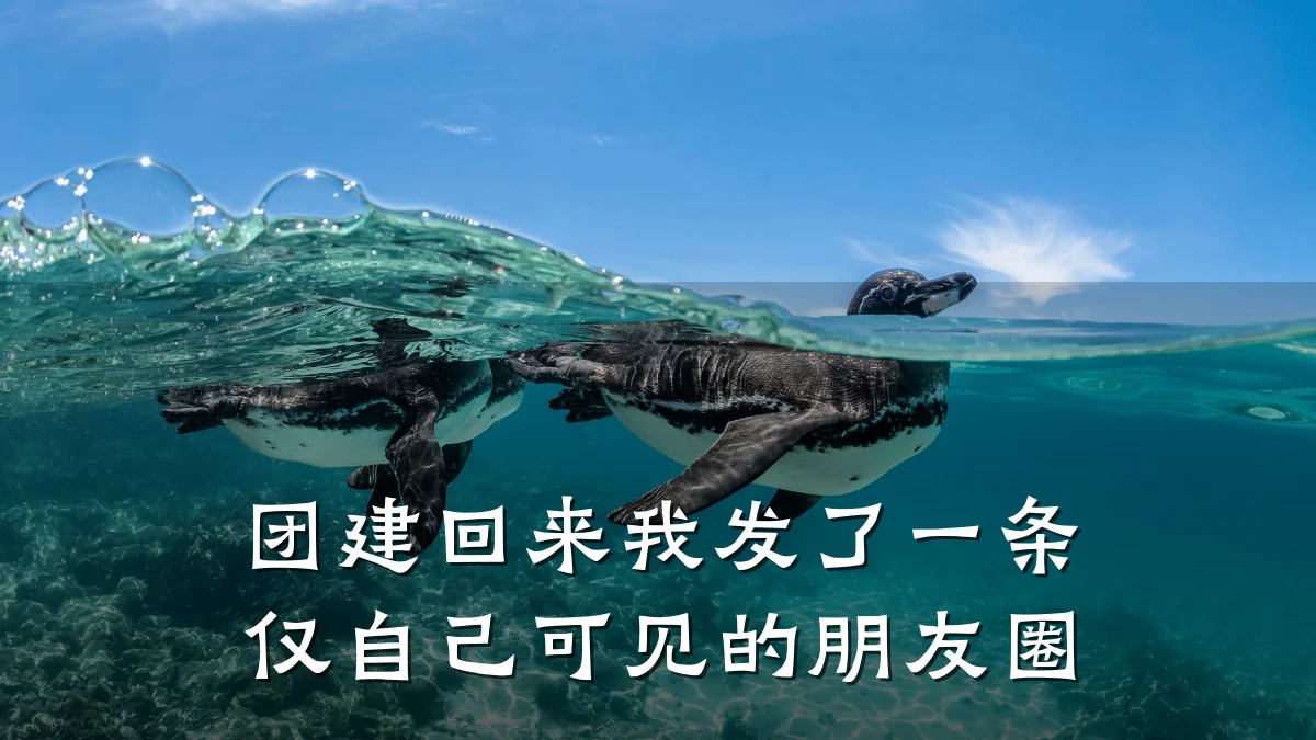 团建回来我发了一条仅自己可见的朋友圈