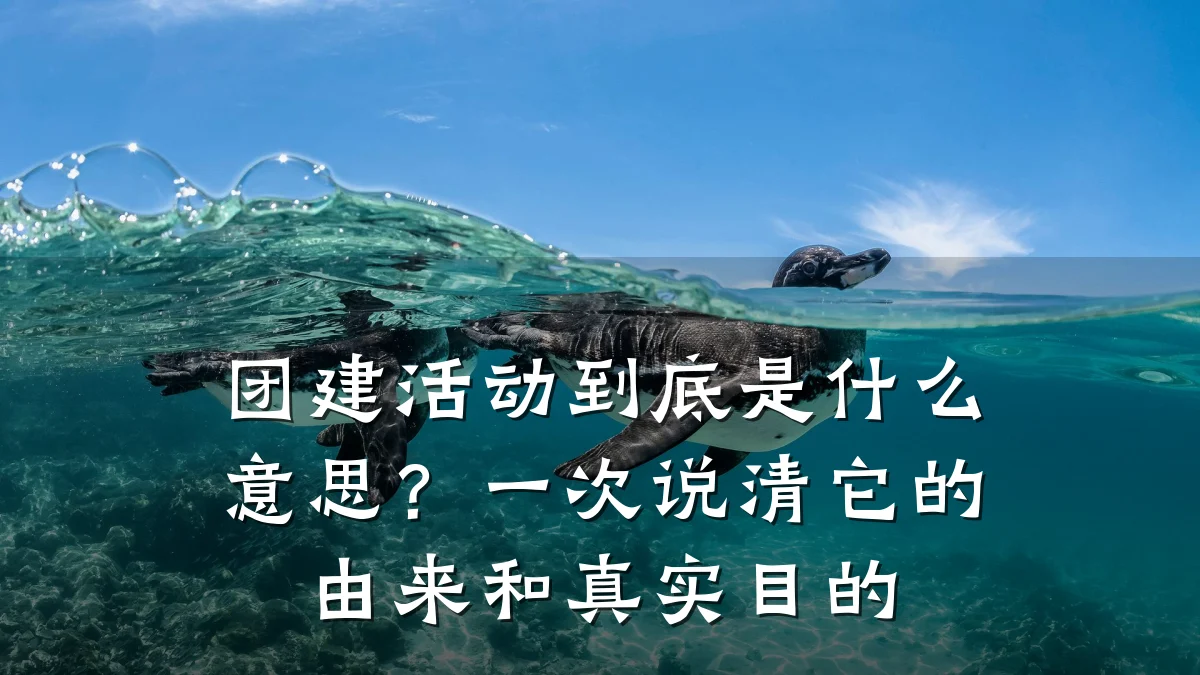 团建活动到底是什么意思?一次说清它的由来和真实目的