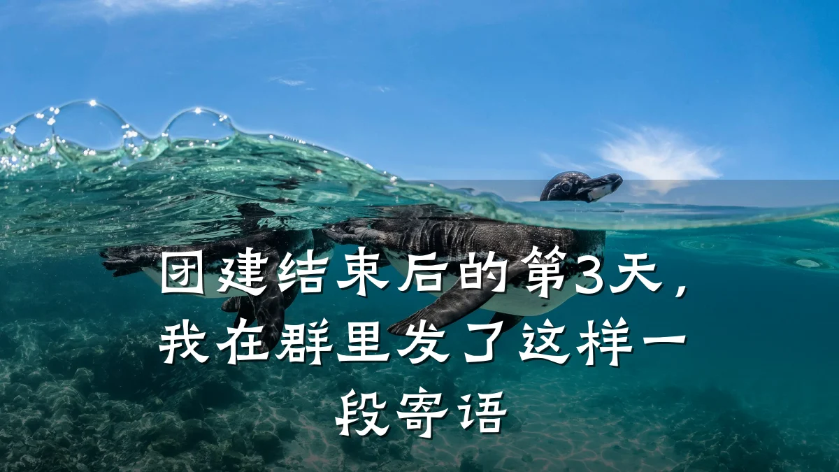 团建结束后的第3天，我在群里发了这样一段寄语
