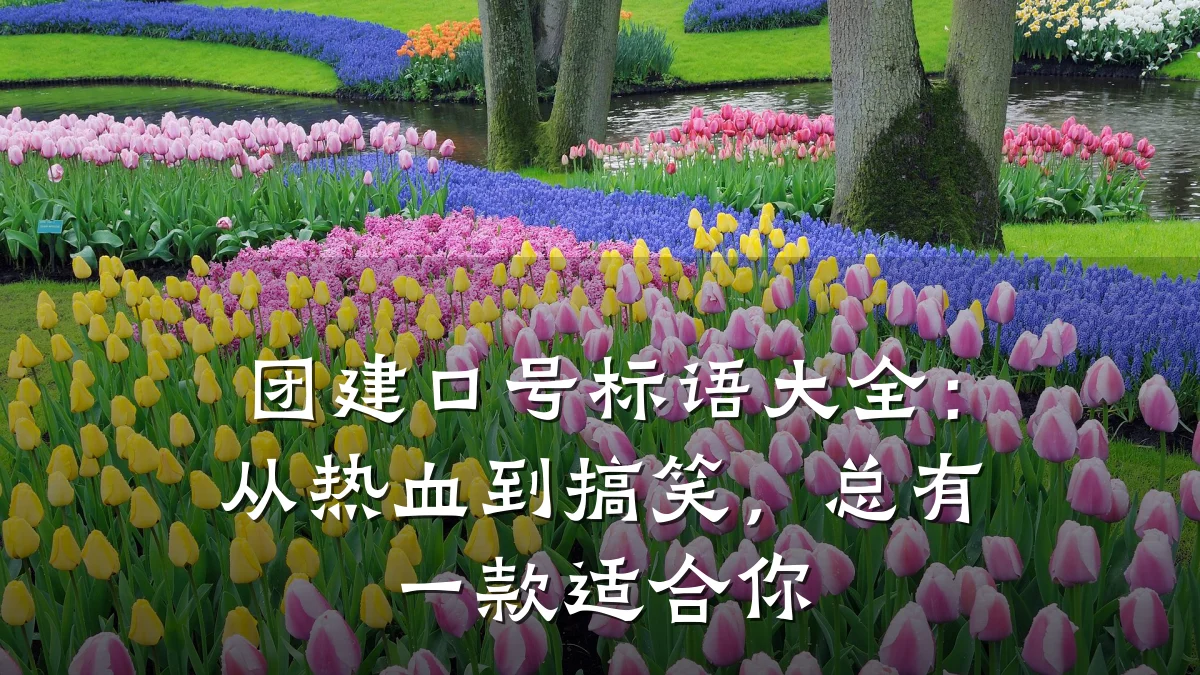 团建口号标语大全:从热血到搞笑,总有一款适合你
