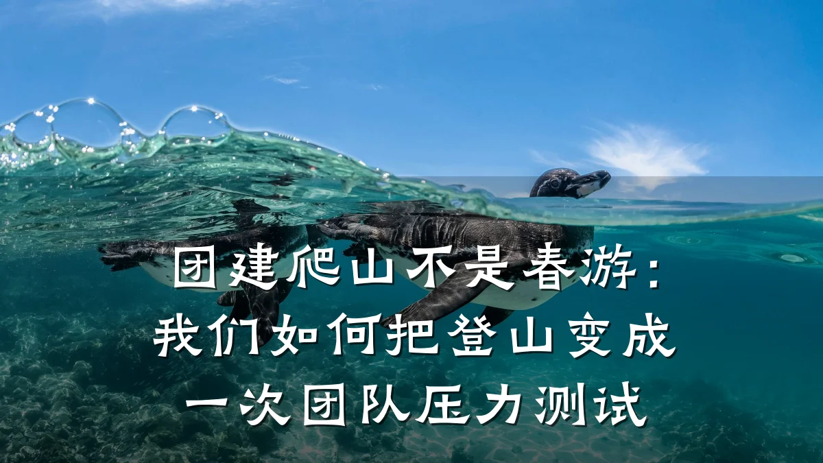 团建爬山不是春游:我们如何把登山变成一次团队压力测试