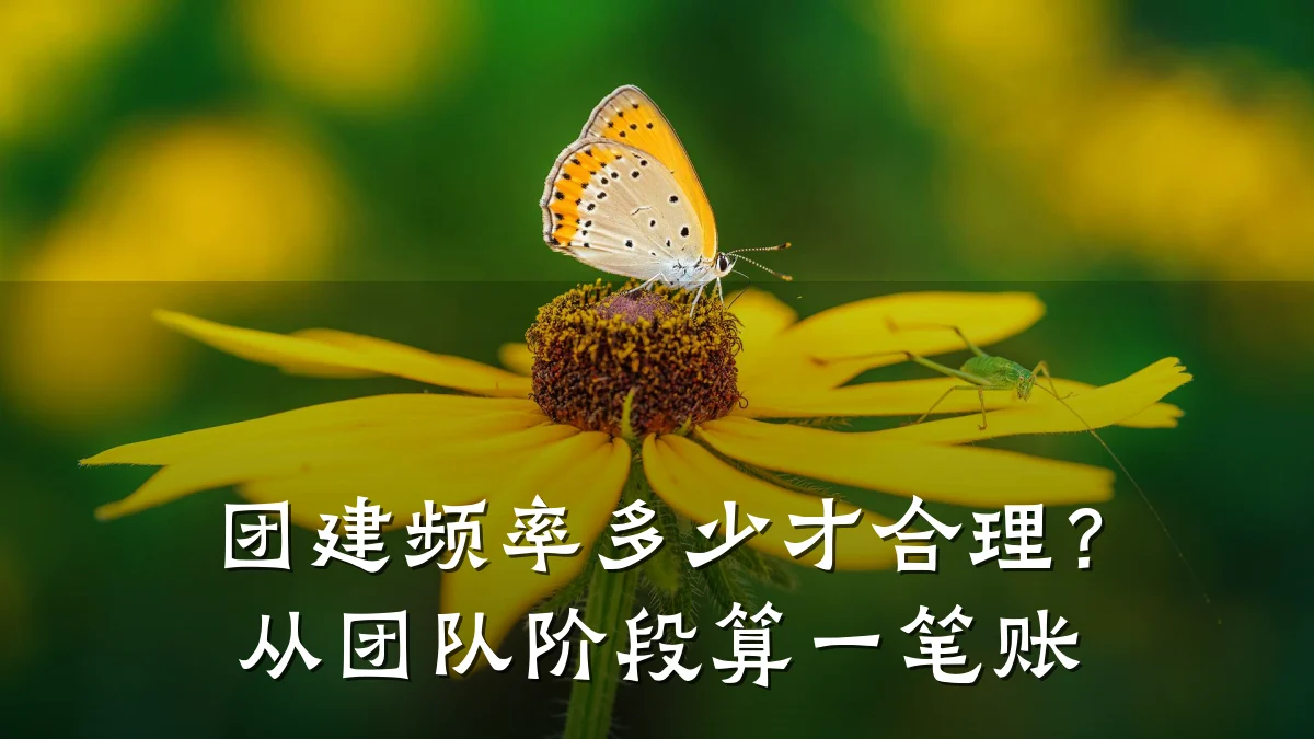 团建频率多少才合理?从团队阶段算一笔账