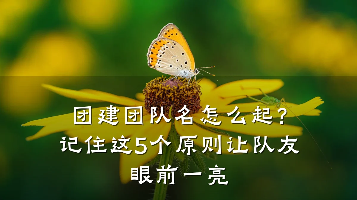 团建团队名怎么起?记住这5个原则让队友眼前一亮