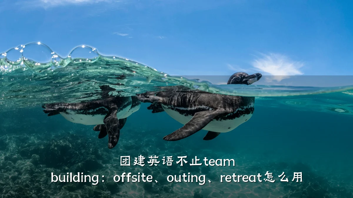 团建英语不止team building:offsite、outing、retreat怎么用