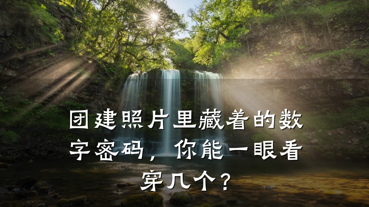 团建照片里藏着的数字密码,你能一眼看穿几个?