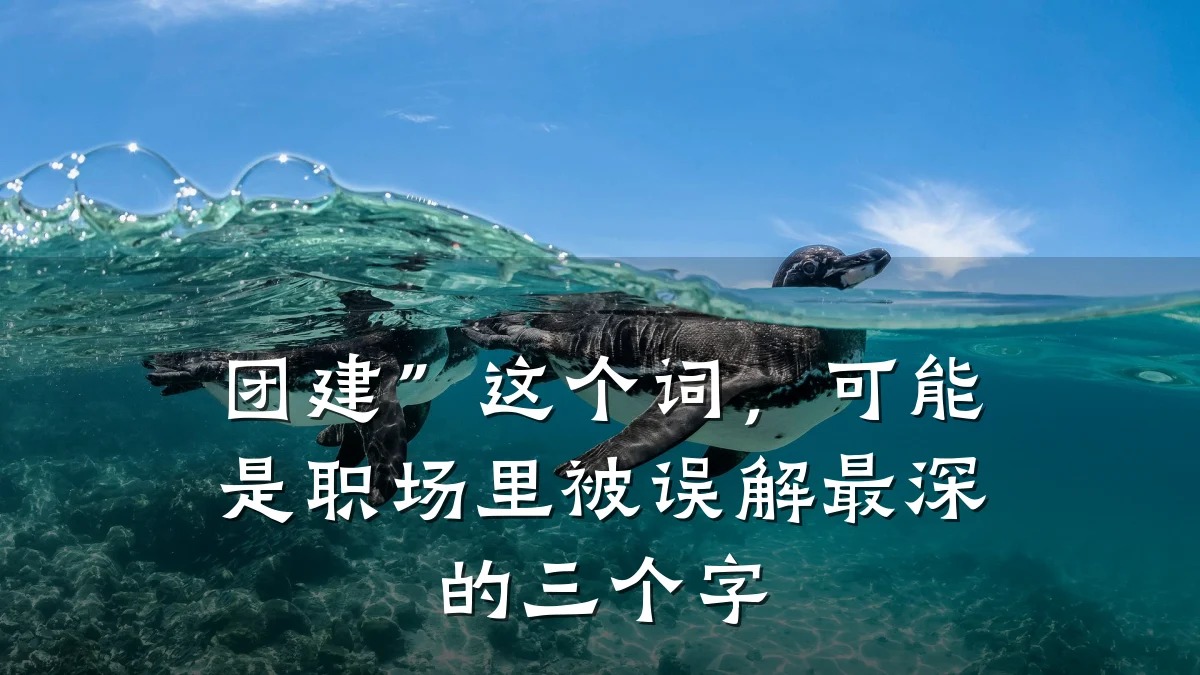 团建”这个词,可能是职场里被误解最深的三个字