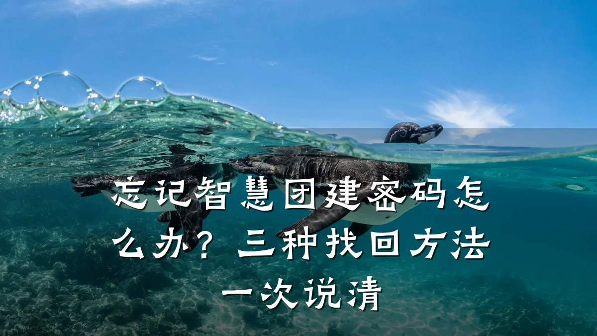 忘记智慧团建密码怎么办?三种找回方法一次说清
