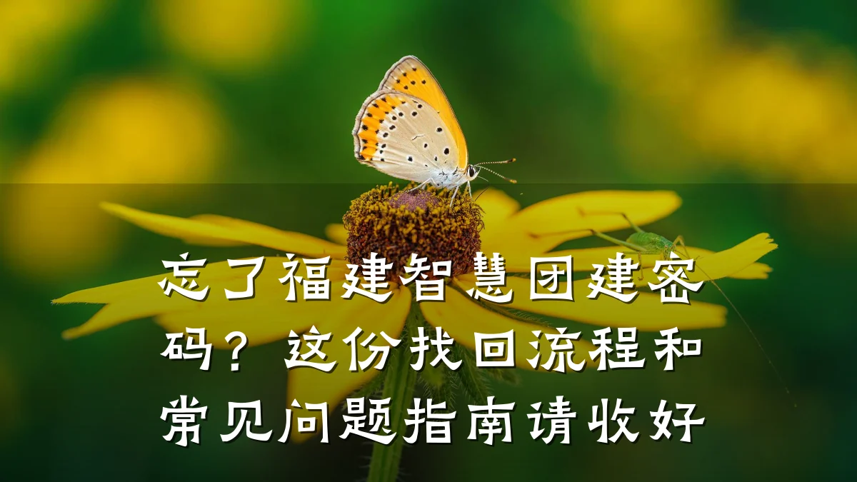 忘了福建智慧团建密码?这份找回流程和常见问题指南请收好