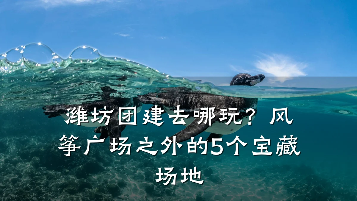 潍坊团建去哪玩?风筝广场之外的5个宝藏场地