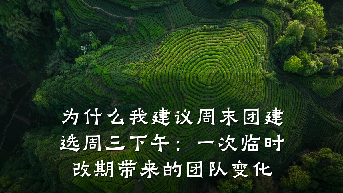 为什么我建议周末团建选周三下午:一次临时改期带来的团队变化