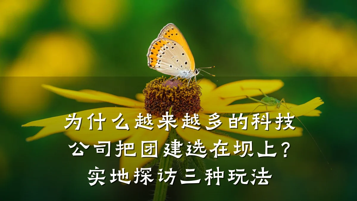 为什么越来越多的科技公司把团建选在坝上？实地探访三种玩法