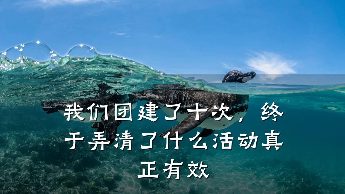 我们团建了十次,终于弄清了什么活动真正有效