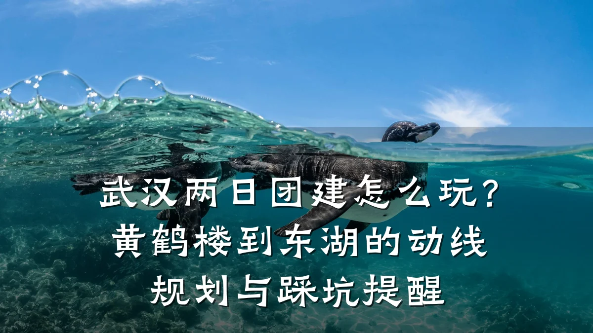 武汉两日团建怎么玩?黄鹤楼到东湖的动线规划与踩坑提醒