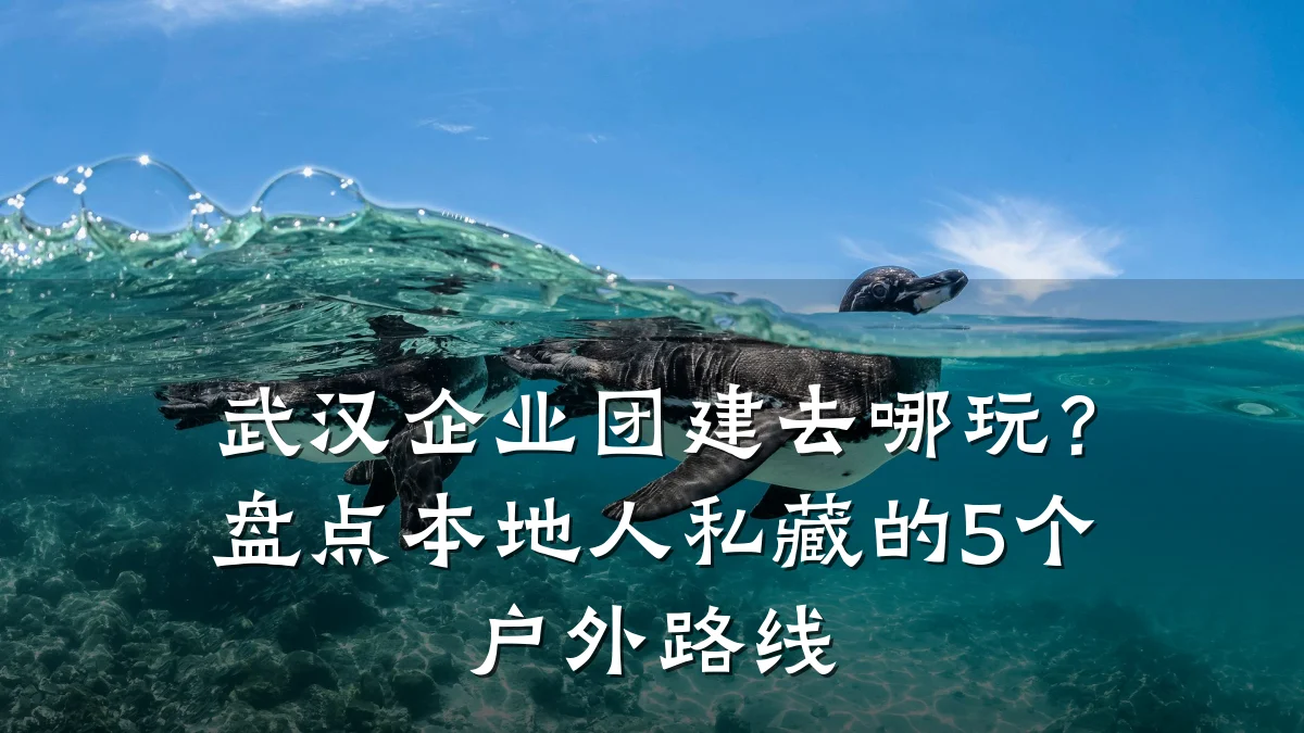 武汉企业团建去哪玩?盘点本地人私藏的5个户外路线