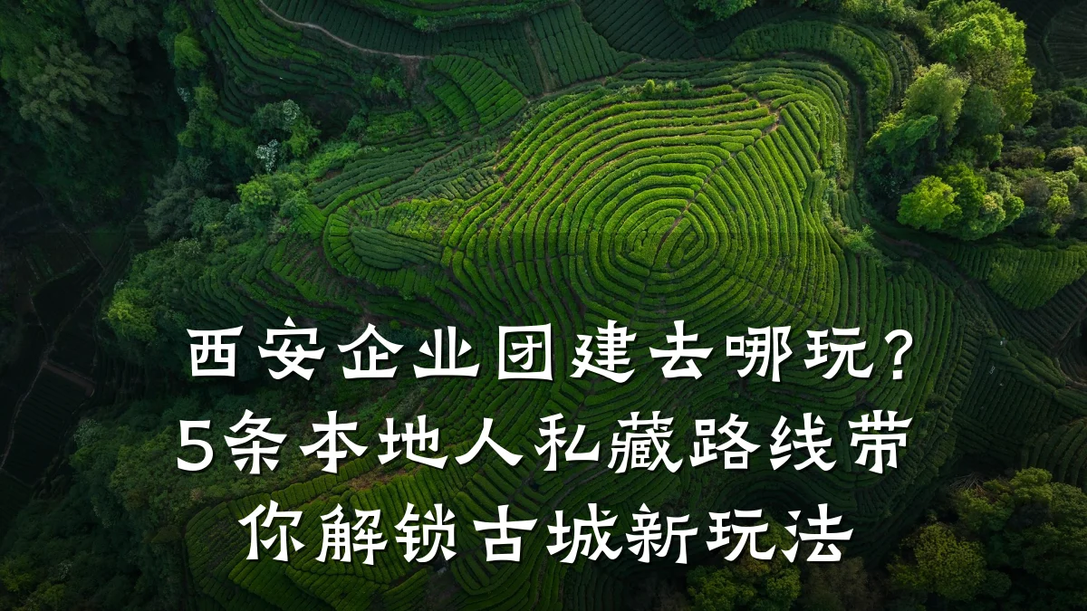 西安企业团建去哪玩?5条本地人私藏路线带你解锁古城新玩法