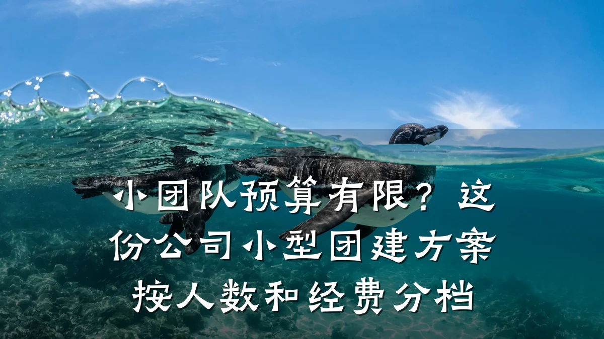 小团队预算有限？这份公司小型团建方案按人数和经费分档