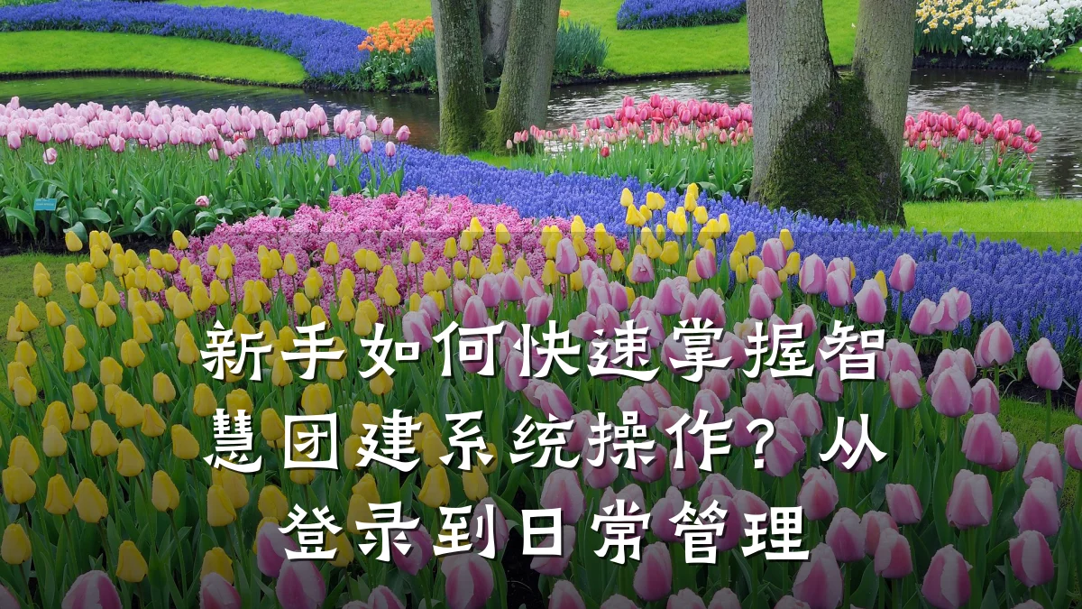 新手如何快速掌握智慧团建系统操作?从登录到日常管理