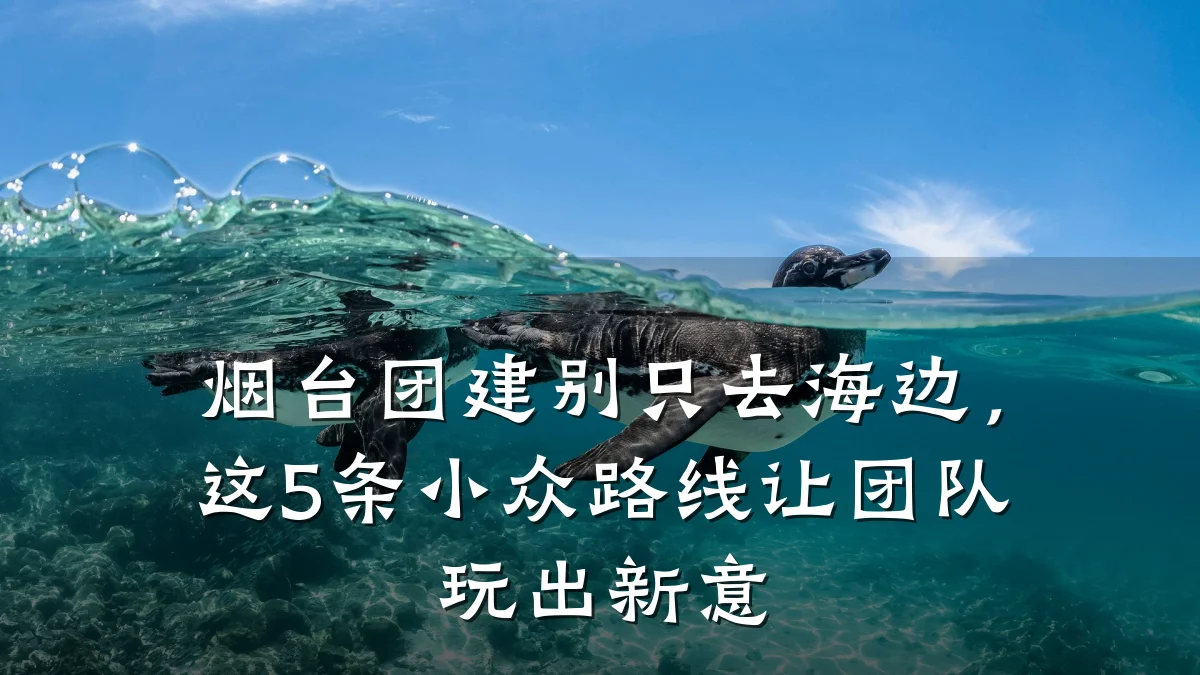 烟台团建别只去海边,这5条小众路线让团队玩出新意