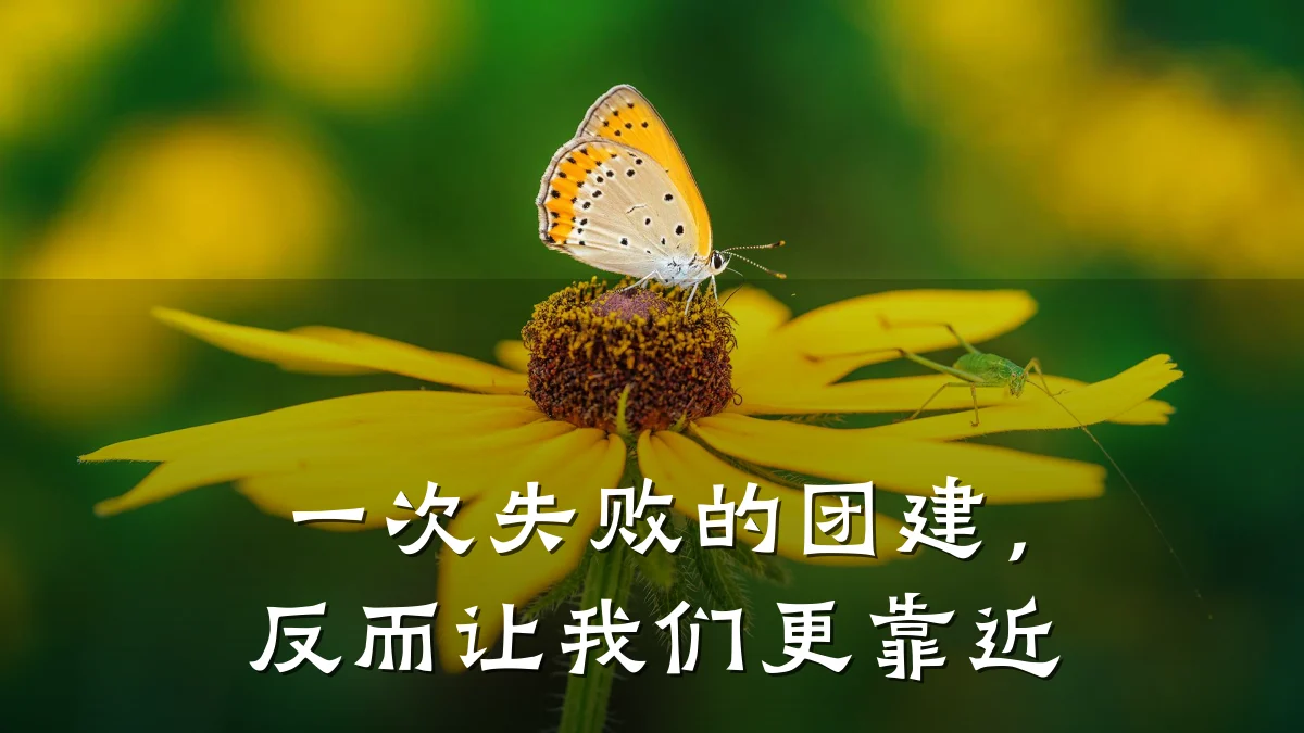 一次失败的团建,反而让我们更靠近