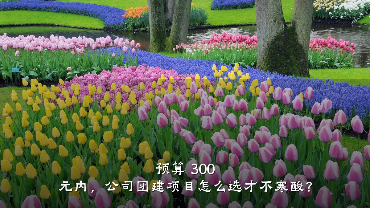 预算 300 元内,公司团建项目怎么选才不寒酸?