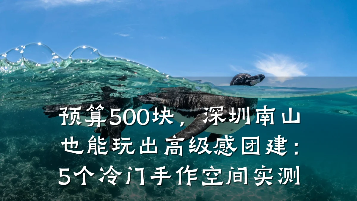 预算500块,深圳南山也能玩出高级感团建:5个冷门手作空间实测