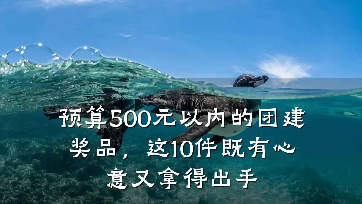 预算500元以内的团建奖品,这10件既有心意又拿得出手