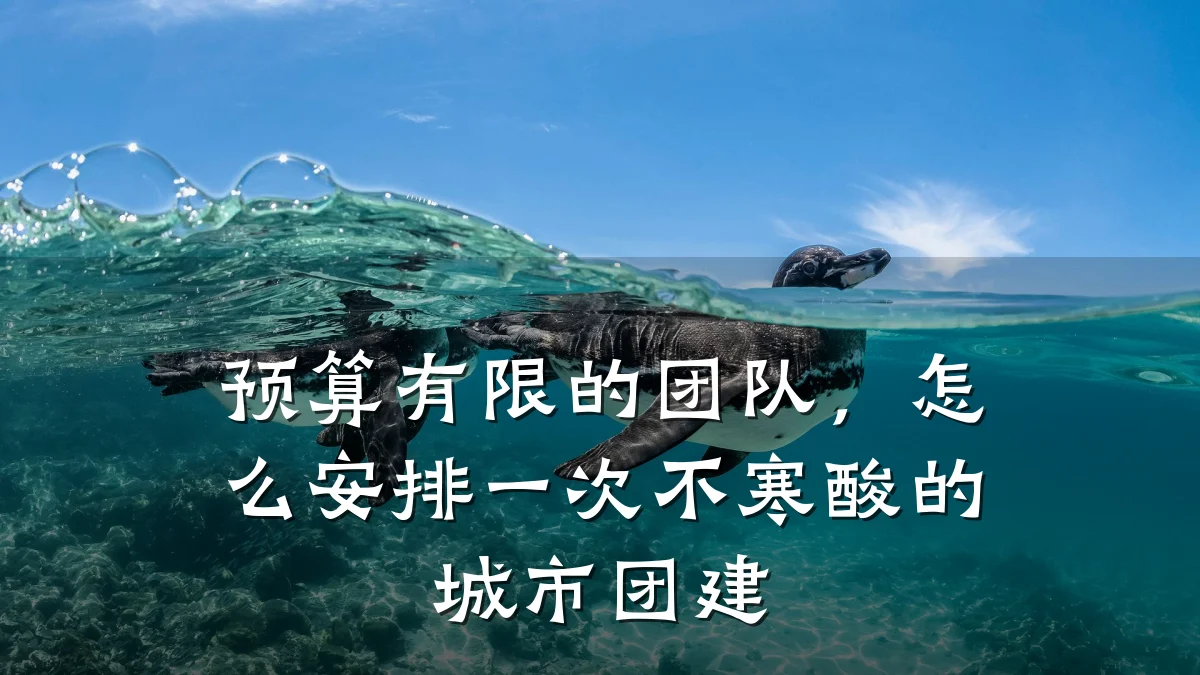 预算有限的团队,怎么安排一次不寒酸的城市团建