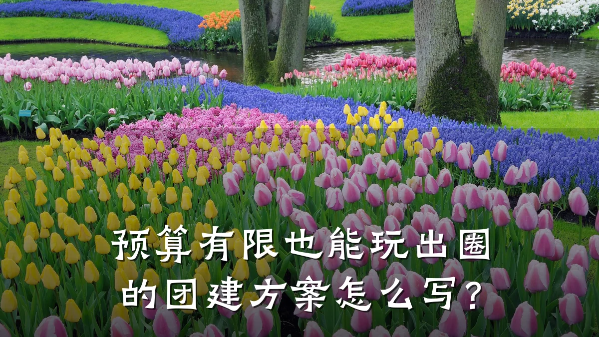 预算有限也能玩出圈的团建方案怎么写？