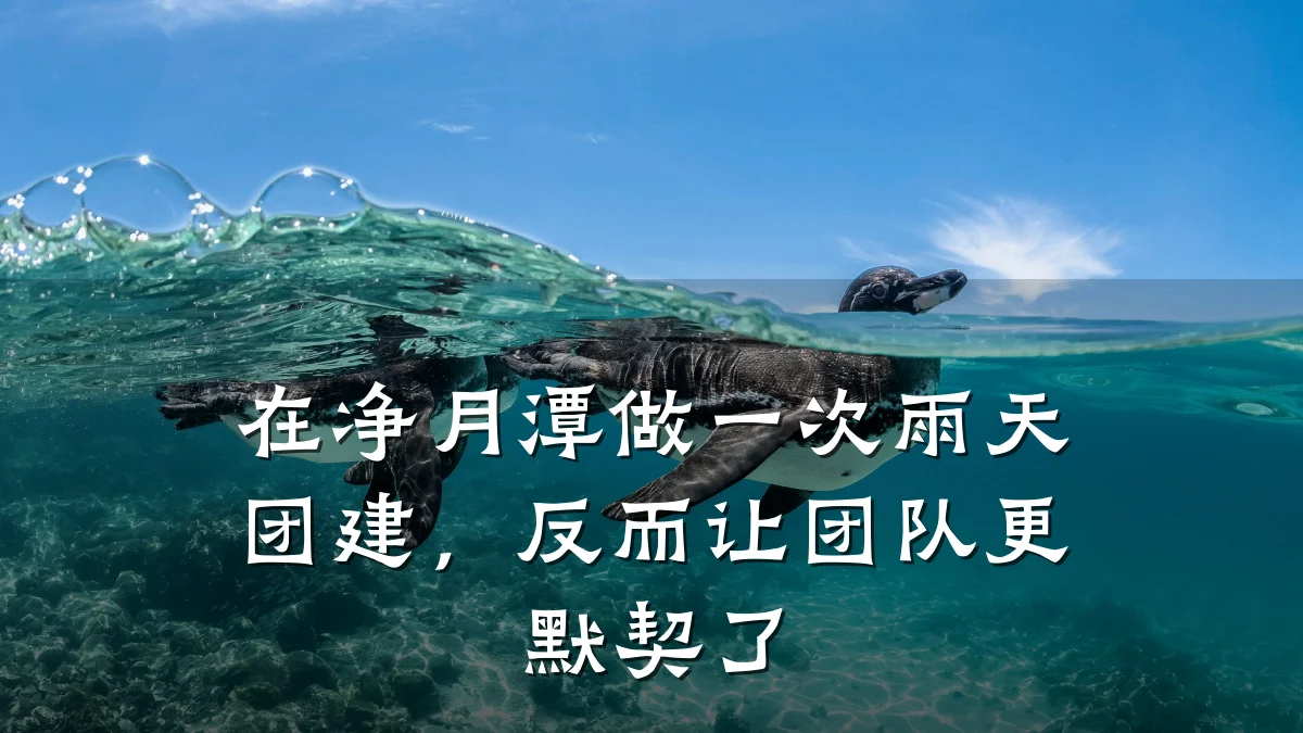 在净月潭做一次雨天团建，反而让团队更默契了