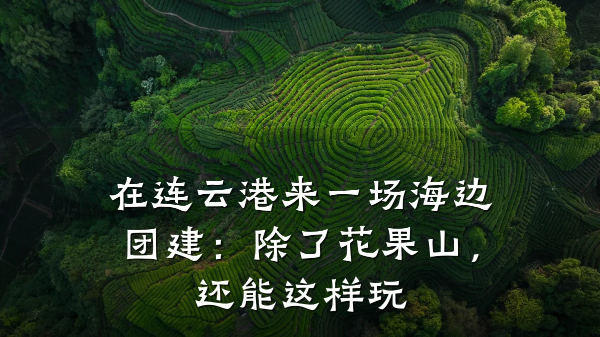 在连云港来一场海边团建：除了花果山，还能这样玩