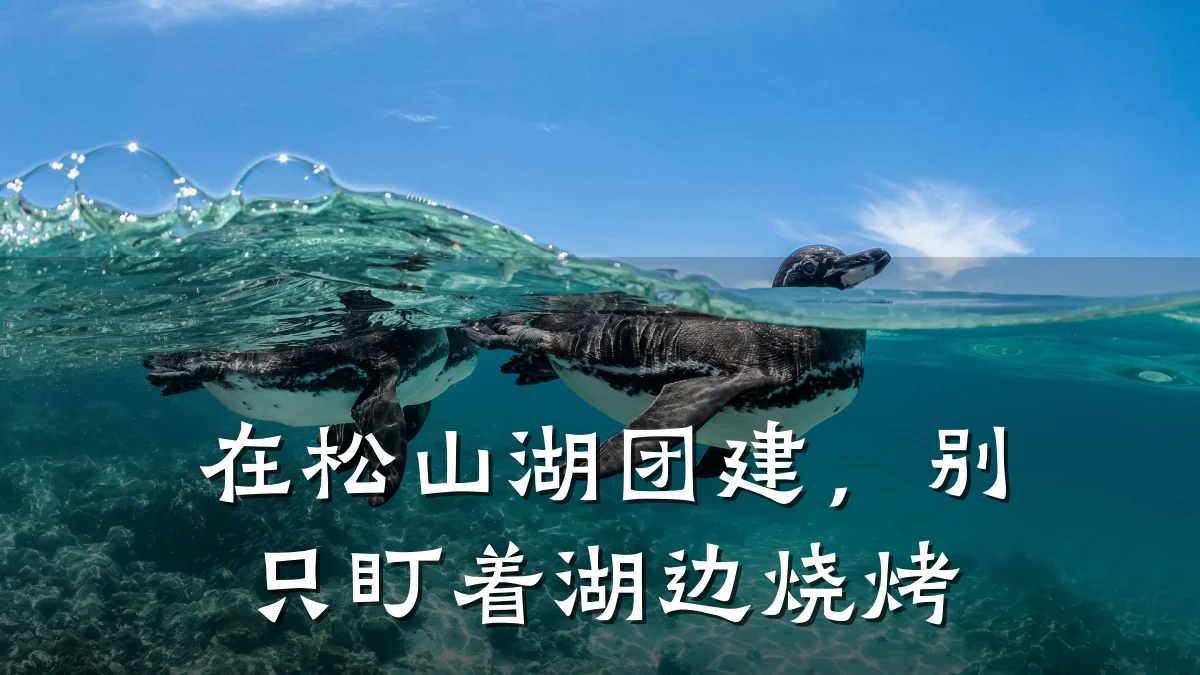 在松山湖团建,别只盯着湖边烧烤