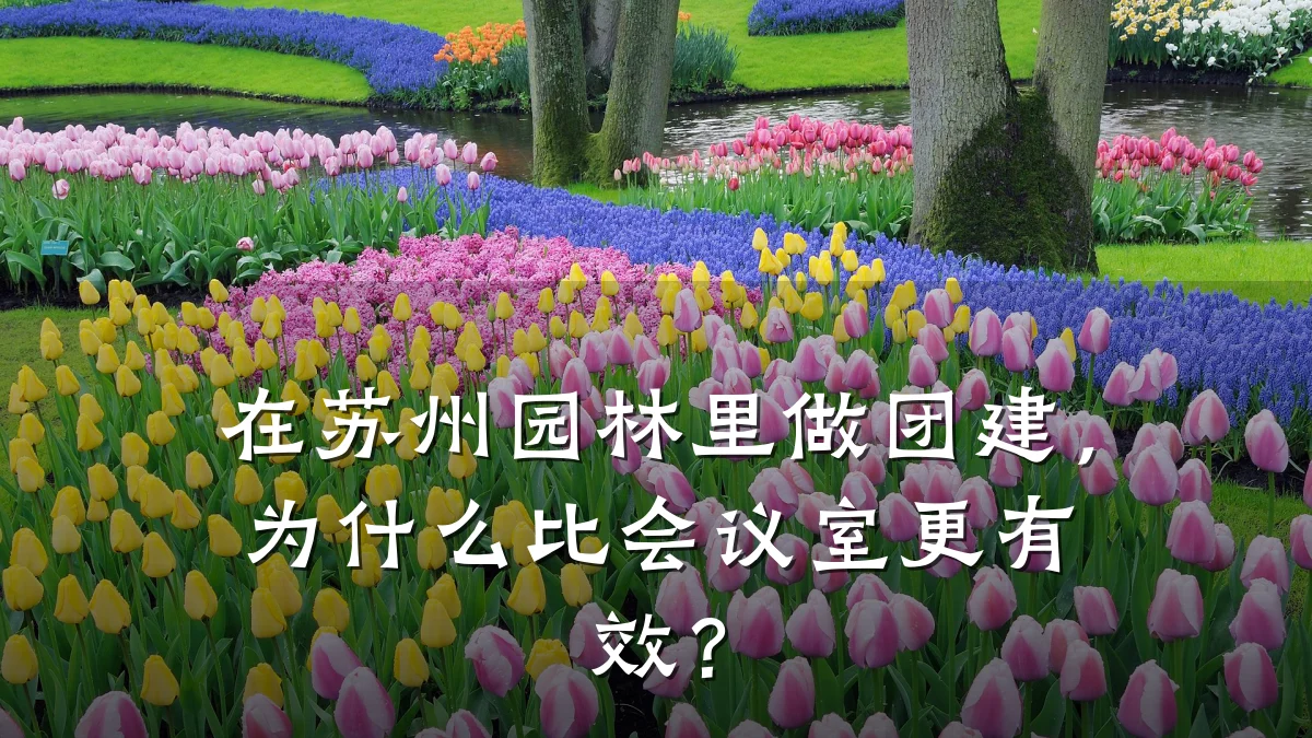 在苏州园林里做团建,为什么比会议室更有效?