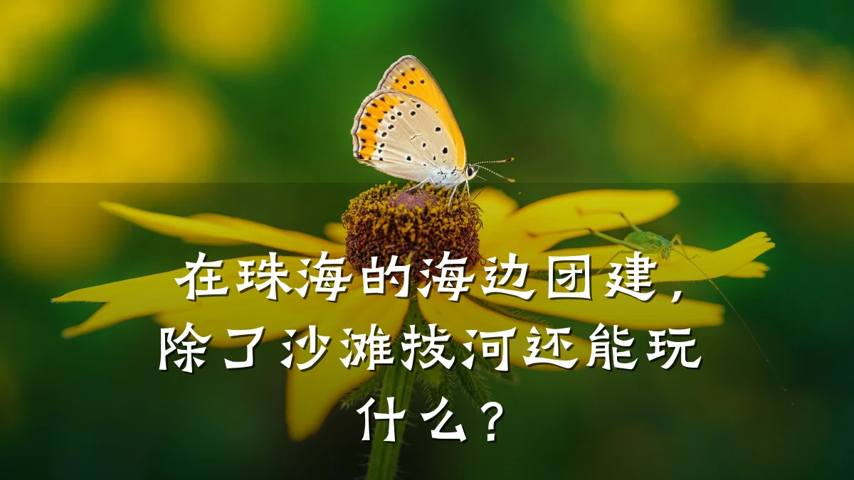在珠海的海边团建,除了沙滩拔河还能玩什么?