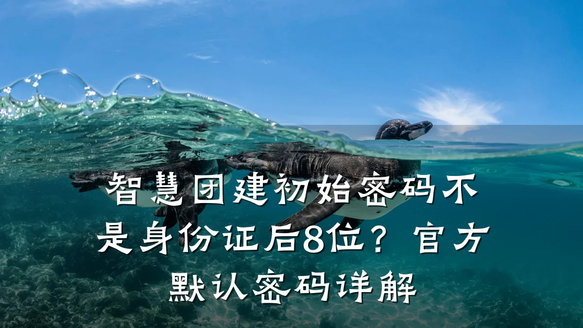 智慧团建初始密码不是身份证后8位?官方默认密码详解