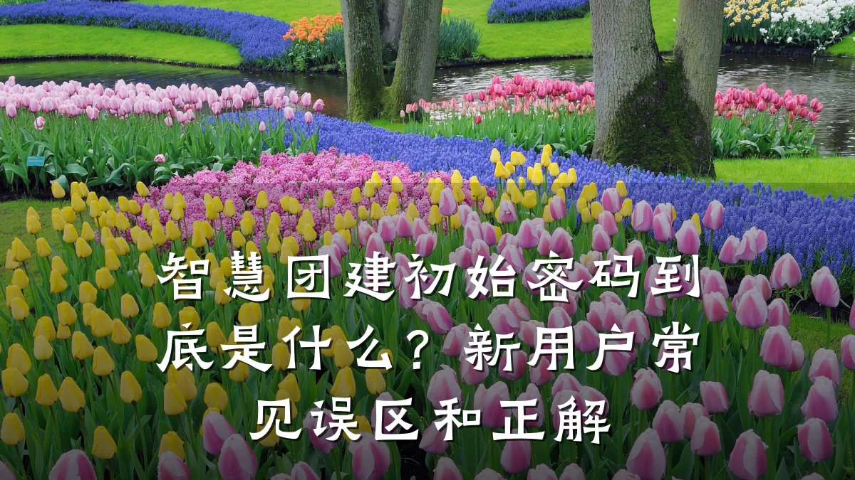智慧团建初始密码到底是什么?新用户常见误区和正解