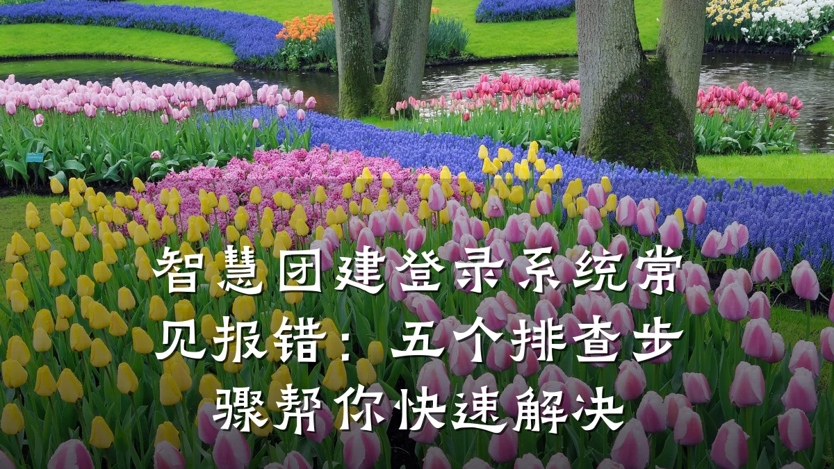 智慧团建登录系统常见报错:五个排查步骤帮你快速解决