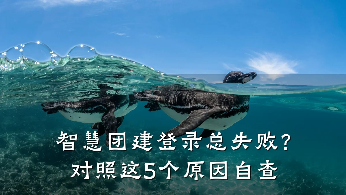 智慧团建登录总失败?对照这5个原因自查
