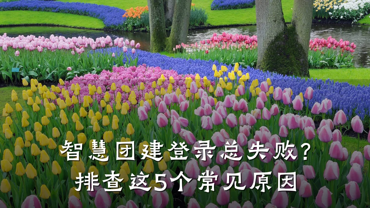 智慧团建登录总失败?排查这5个常见原因