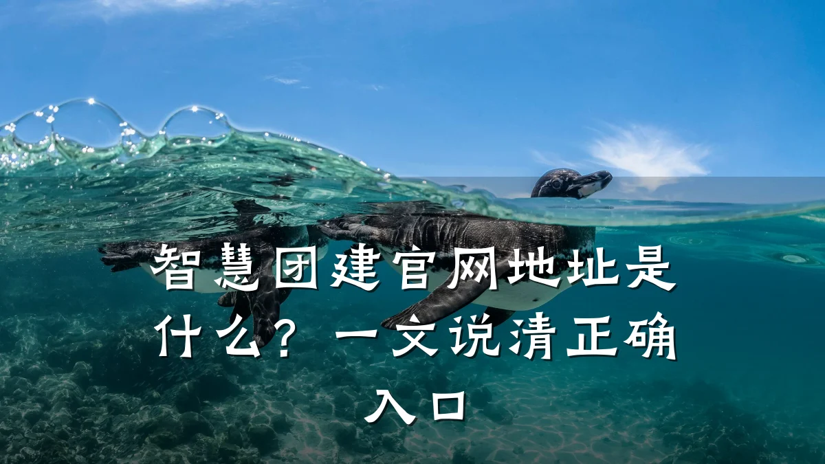 智慧团建官网地址是什么?一文说清正确入口